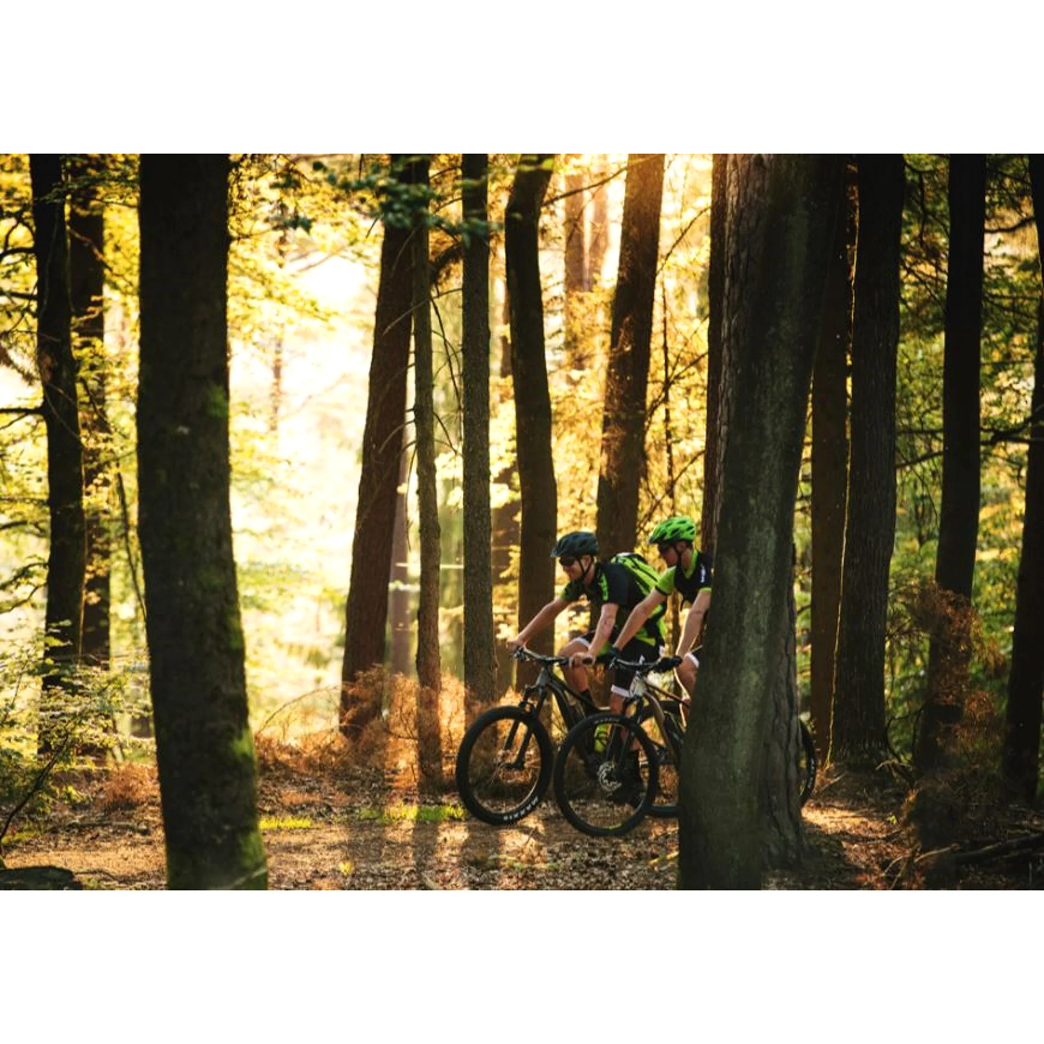 Merida eBig Nine 300 SE Electric Mountain Bike 504Wh Battery Matt Black/Anthracite - Image 3