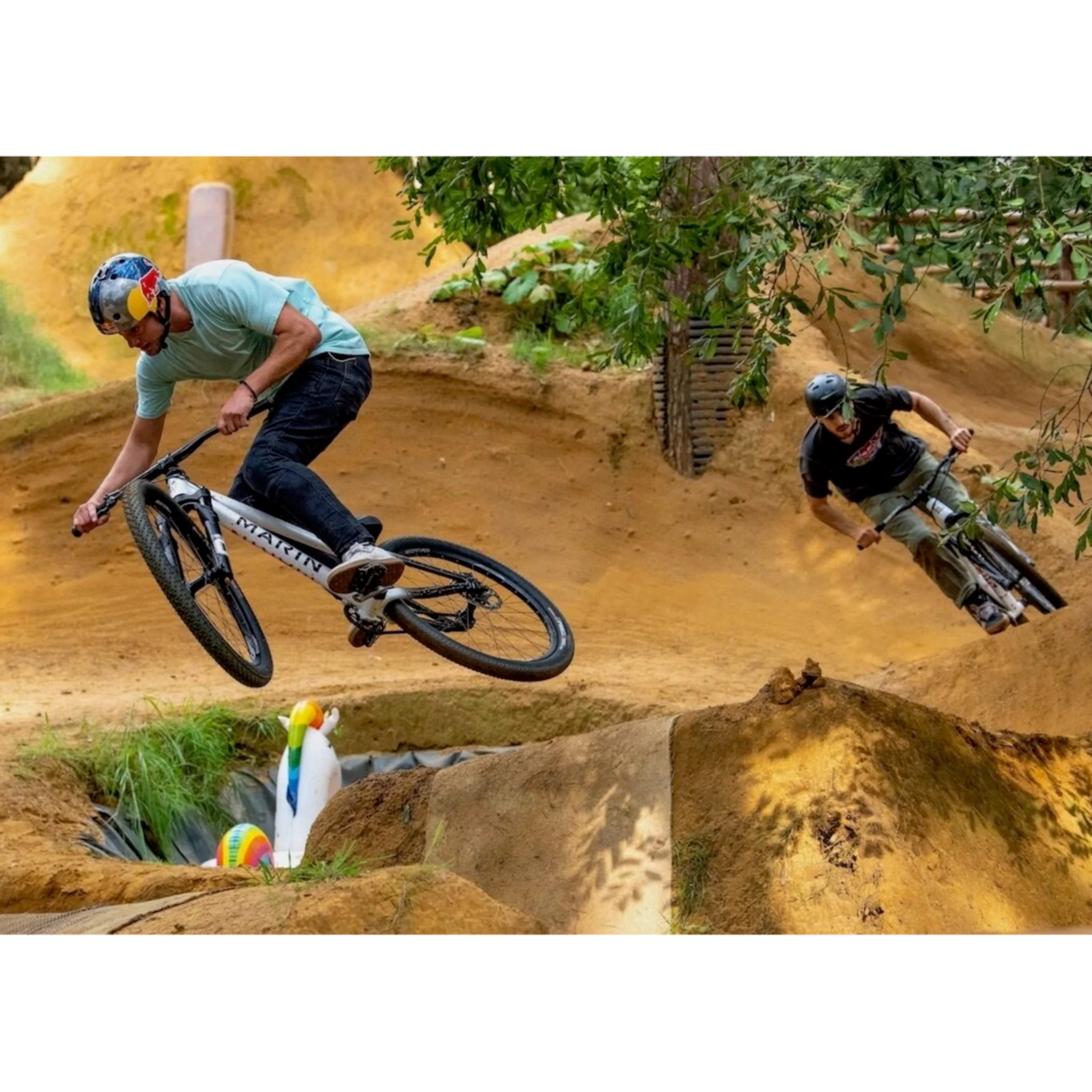 Marin Alcatraz Dirt Jump Bike Blue/Magenta - Image 3