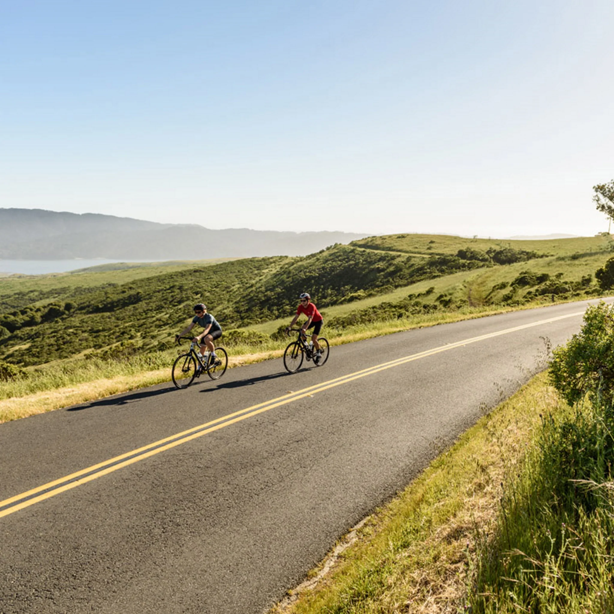 Marin Gestalt X10 Gravel Bike Chrome - Image 4
