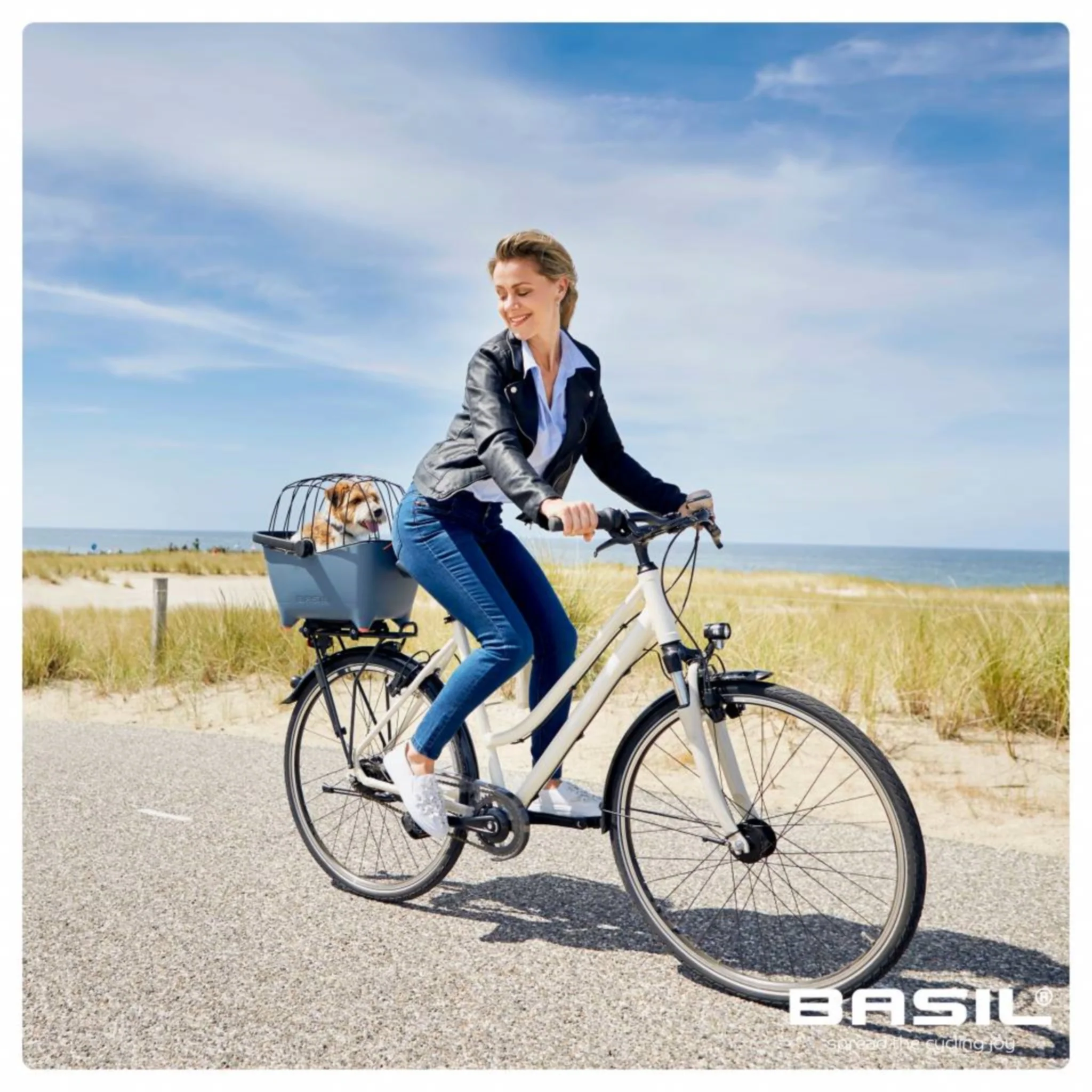 Basil Buddy Rear Bicycle Basket for Dogs - Image 4