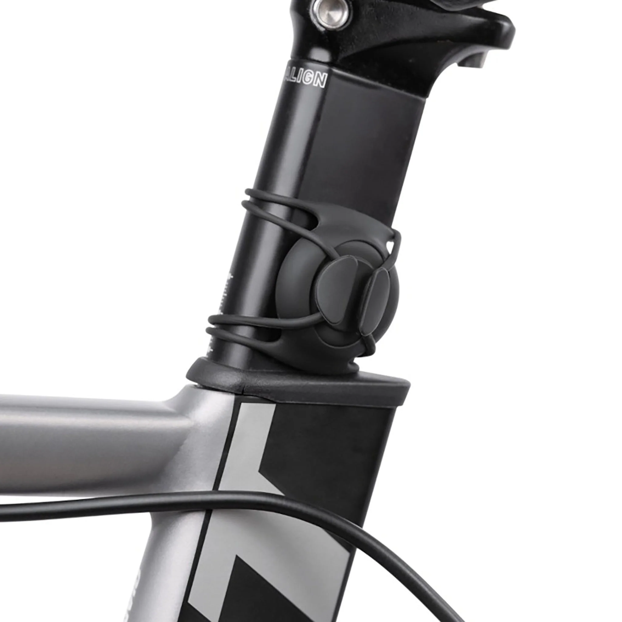 Bone Collection Bike Strap Tag Mount - Image 5