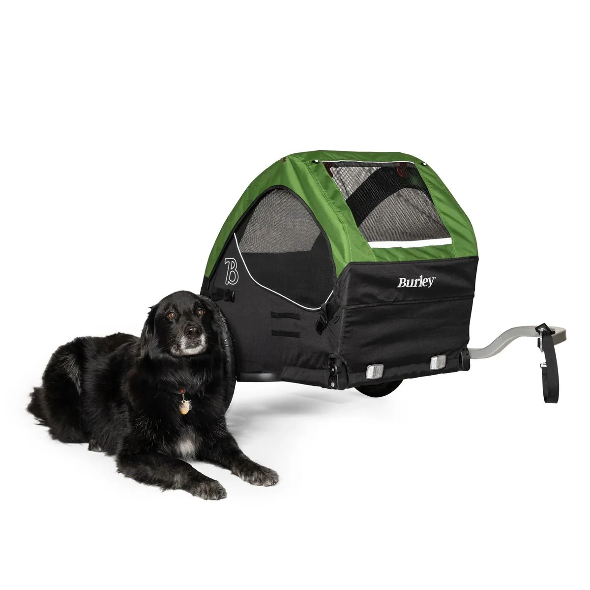 Burley Pet Trailer Tail Wagon Green - Image 6