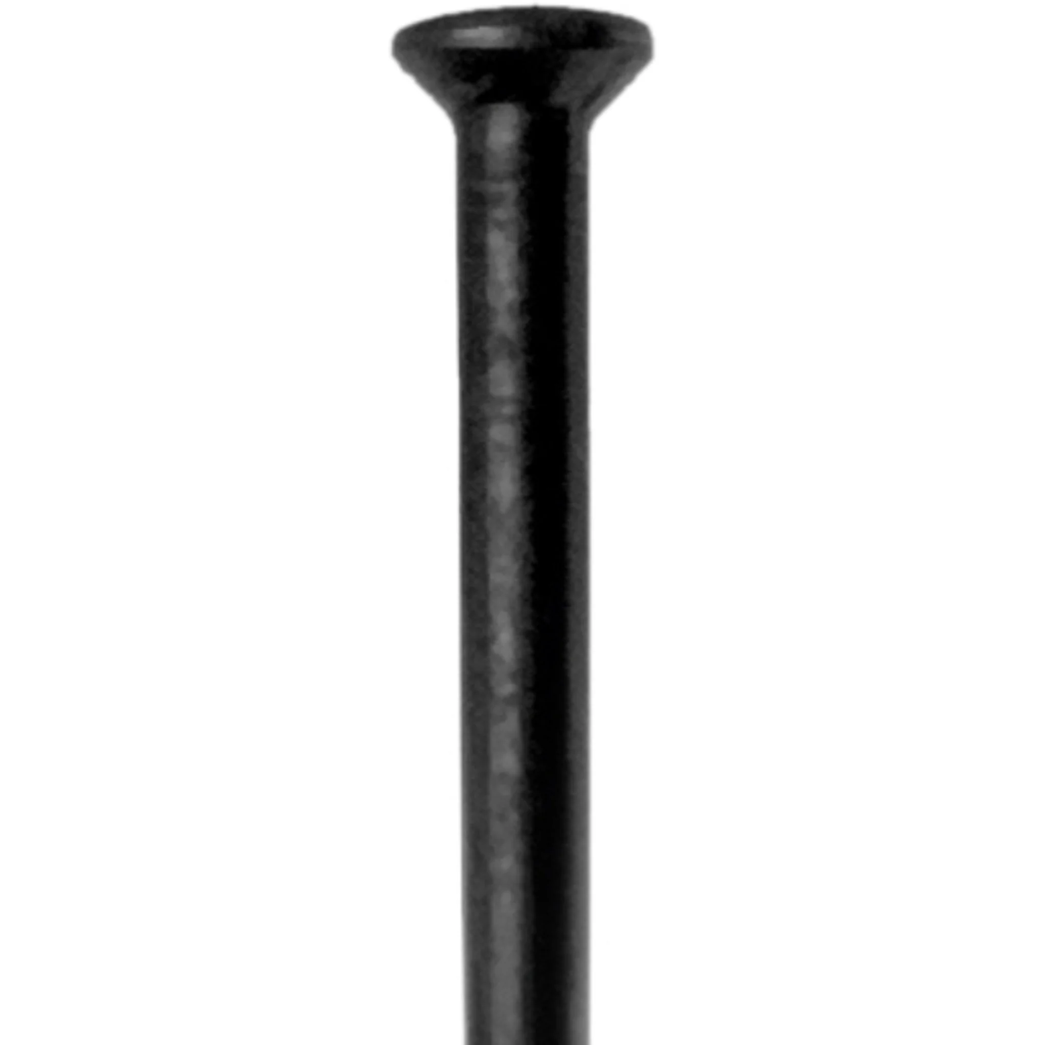 DT Swiss Champion Straight Pull Spoke 296mm 2.0mm Black - Image 2