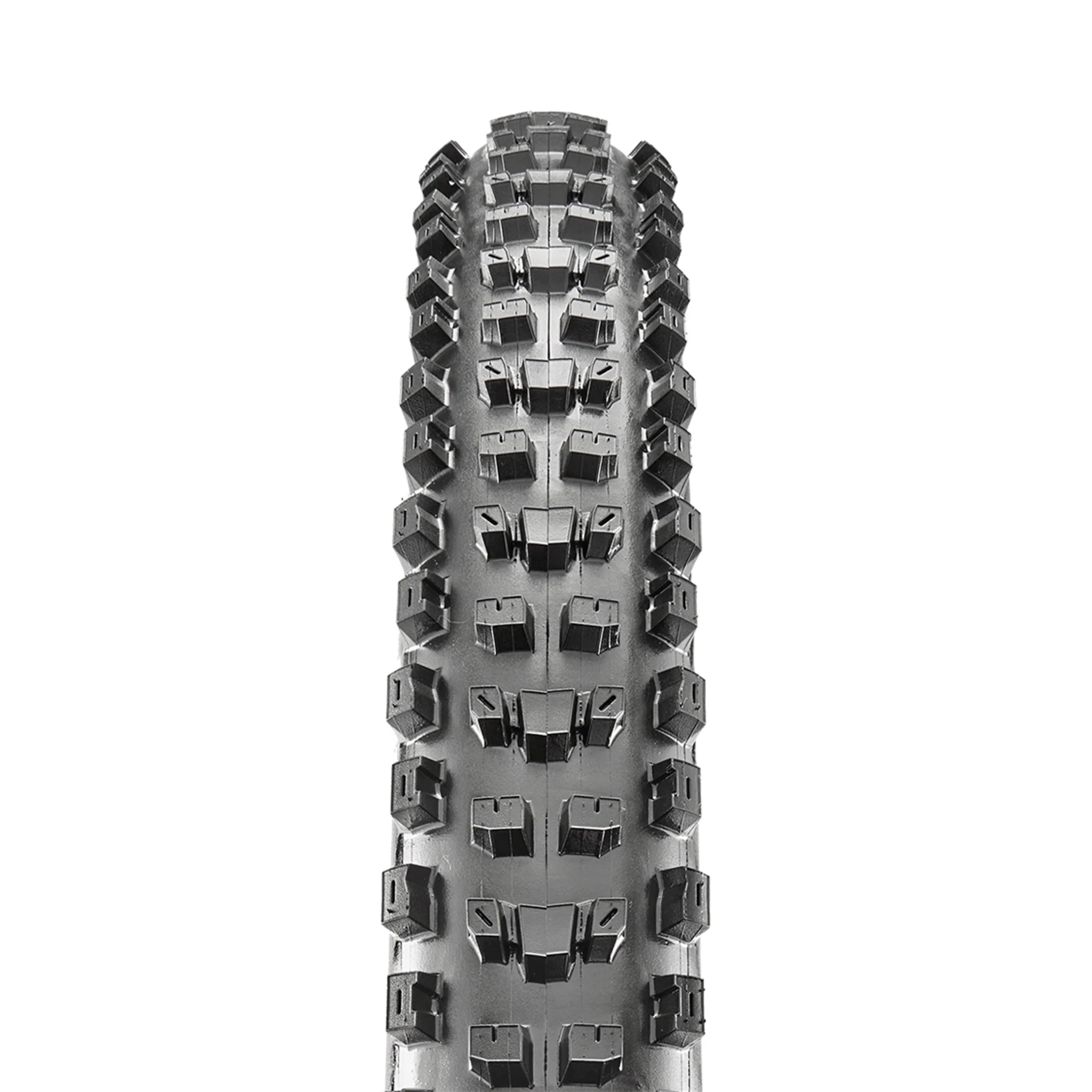 Maxxis Tyre 29 x 2.40 WT Dissector 3C/EXO/TR Maxx Terra Foldable - Image 2