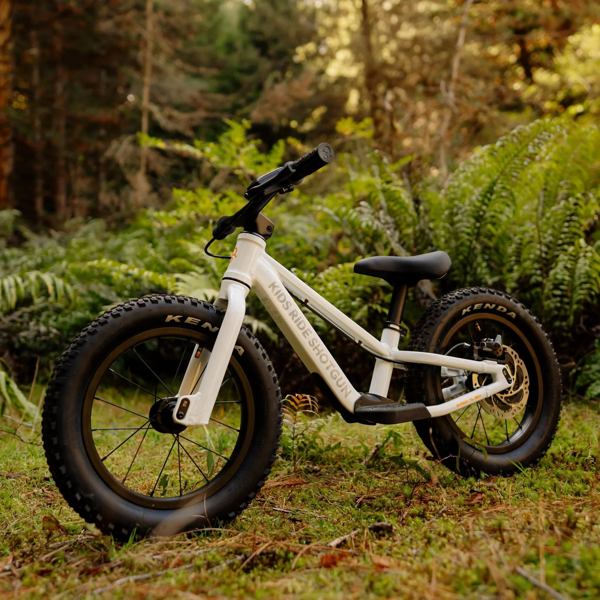 Kids Ride Shotgun Dirt Hero Off-Road Balance Bike 12" Arctic Storm White - Image 4