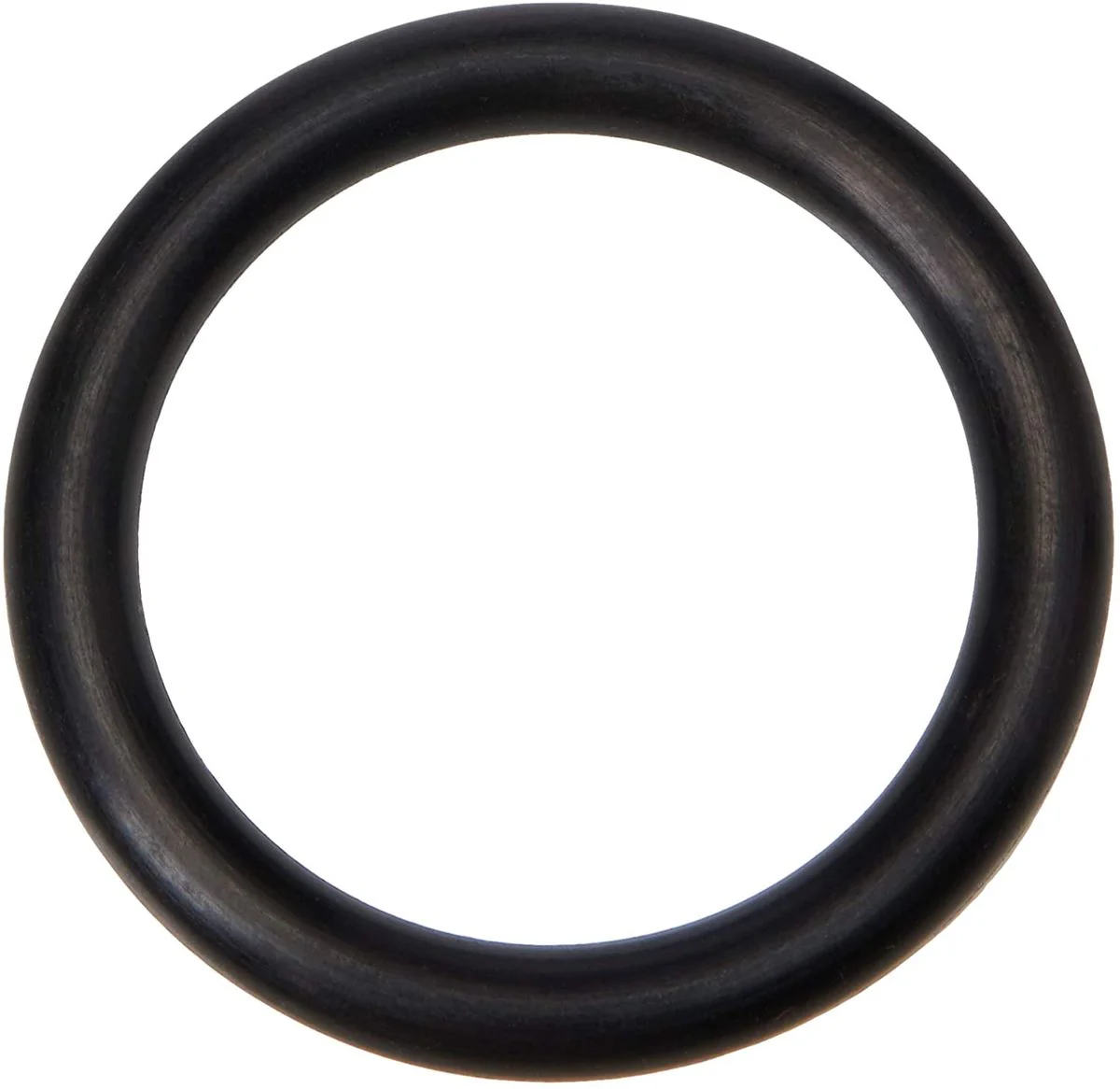 Topeak Pump Part Piston O-Ring Joeblow Max II